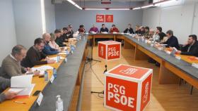Executiva Nacional Galega del PSdeG celebrada el sábado 9 de marzo en Santiago de Compostela.POLITICAPSDEG