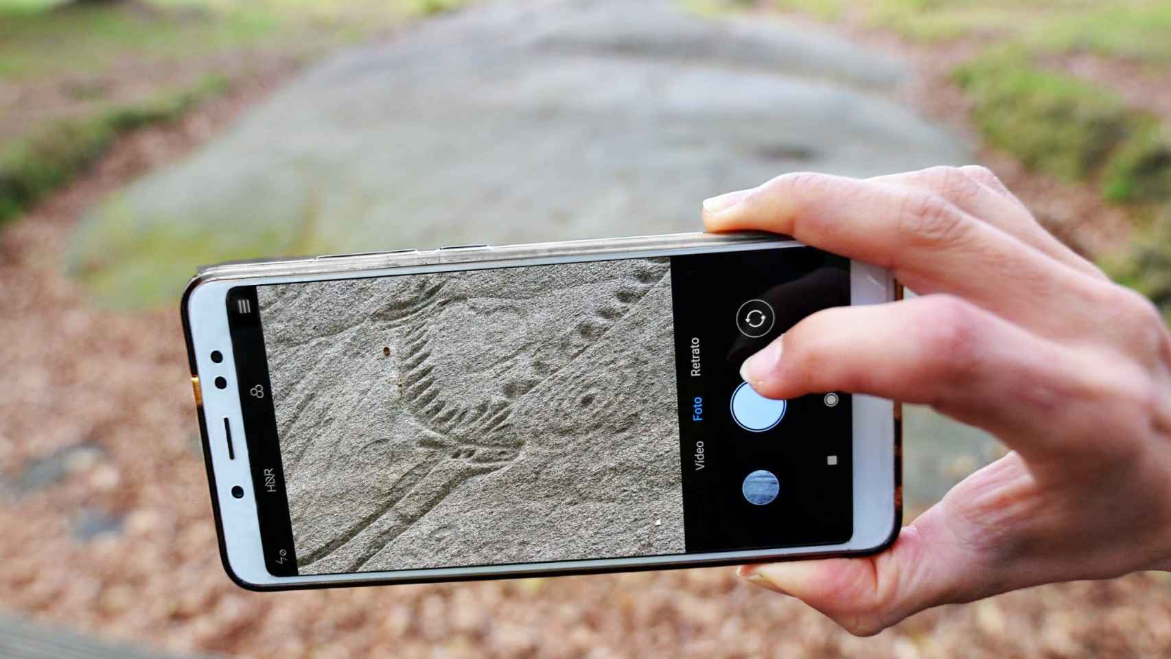 Visita guiada al Parque Arqueológico de Arte Rupestre de Campo Lameiro (Pontevedra).