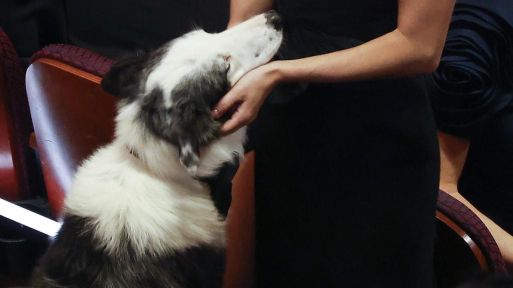 El perro Messi, el auténtico protagonista de la 96 edición de los premios Oscar 2024.