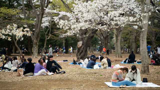 Varios grupos de personas disfrutan de una tarde de picnic en un parque de Kioto, en Japón.