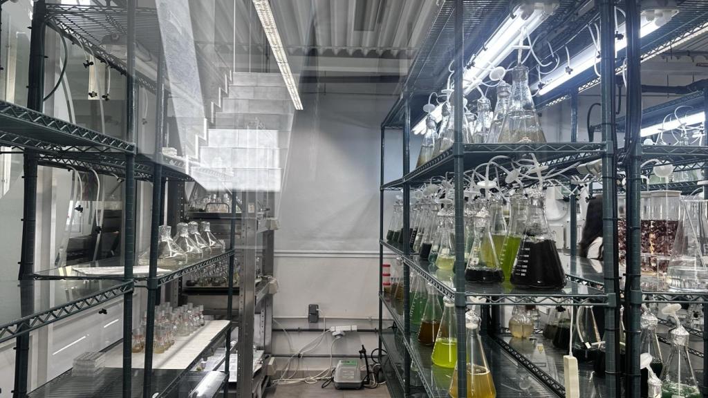 El laboratorio del Banco Español de Algas.