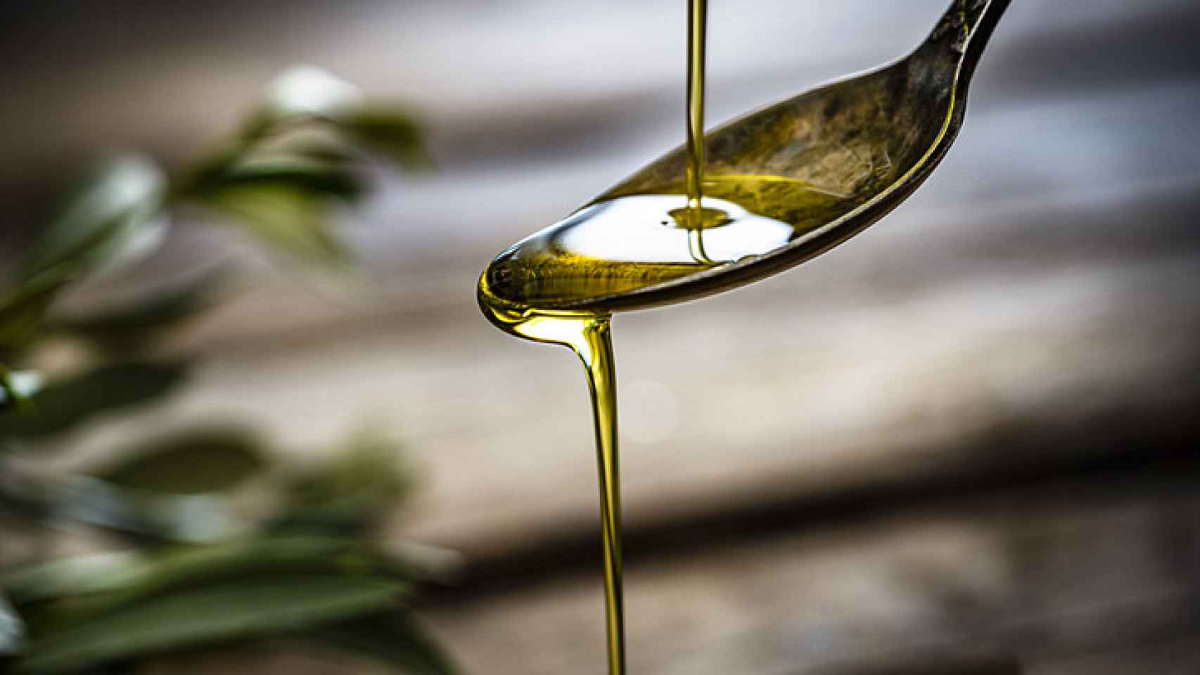 Aplicando un poco de aceite de oliva por la noche podremos hacer crecer nuestras cejas.
