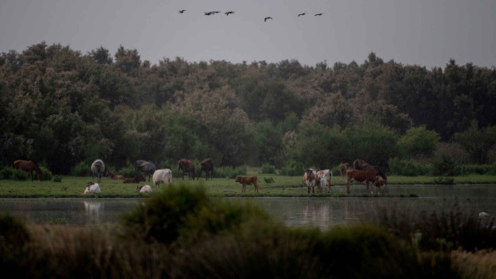 Vista general del Parque Nacional del Doñana, en Huelva, a 20 de mayo de 2022.