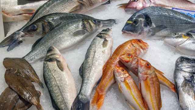 Distintos pescados expuestos en una pescadería
