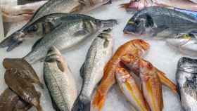Distintos pescados expuestos en una pescadería