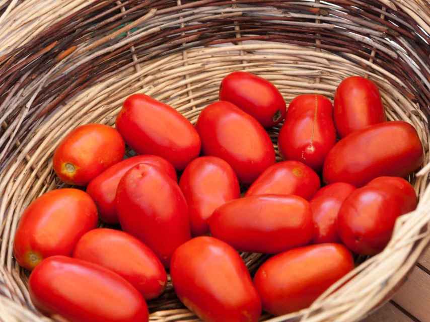 Conserva tus tomates en un cesto y un lugar aireado.