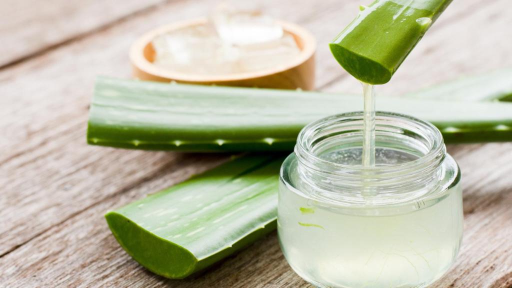 El aloe vera es el ingrediente perfecto para añadir a nuestro champú.