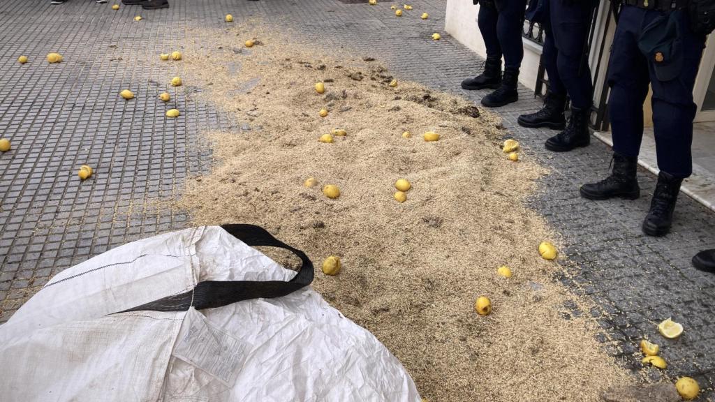 Limones y cereales en la entrada de la Subdelegación del Gobierno en Málaga.