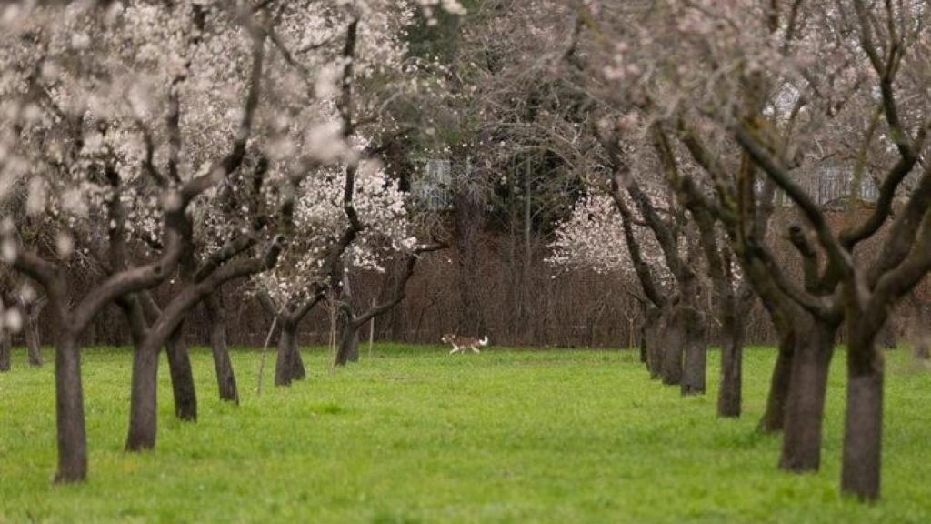 Una zona verde de la Comunidad de Madrid.