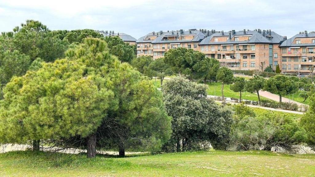Zona verde de Majadahonda.