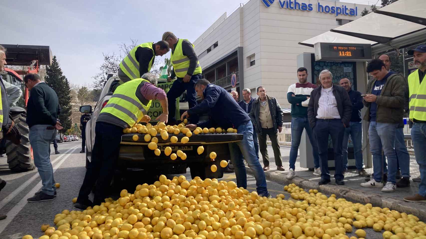 Agricultores tiran limones por el suelo durante las protestas en la Subdelegación del Gobierno de Málaga.