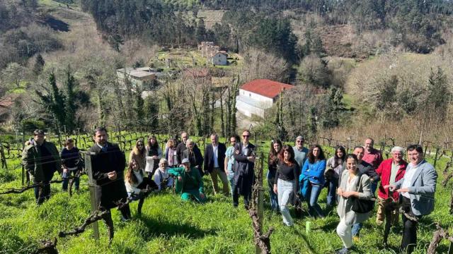 Arranca en A Coruña el proyecto ‘Ecospherewines’ que busca mejorar el ecosistema de viñedos