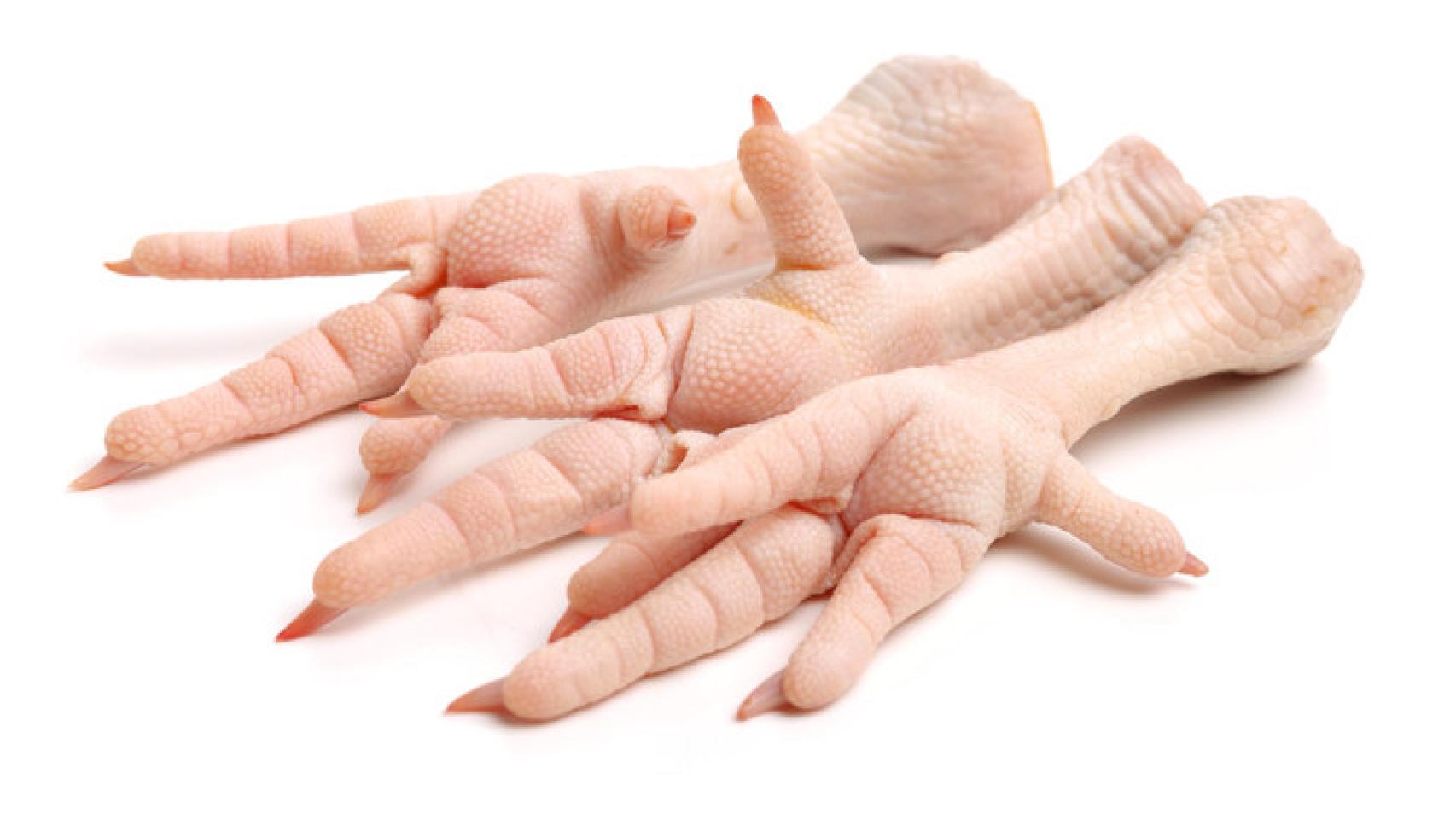 Las patas de pollo son excelentes para producir colágeno en el cuerpo.