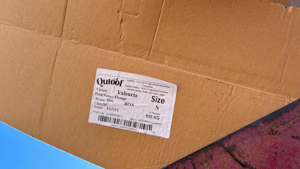Detalle de uno de los embalajes de cartón descargados en Algeciras con naranja egipcia.