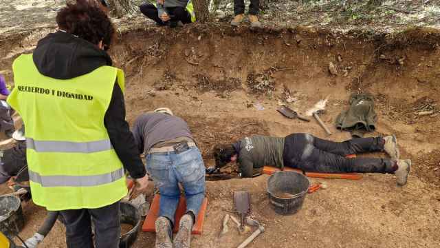Exhumación de la fosa común de Adradas, Soria