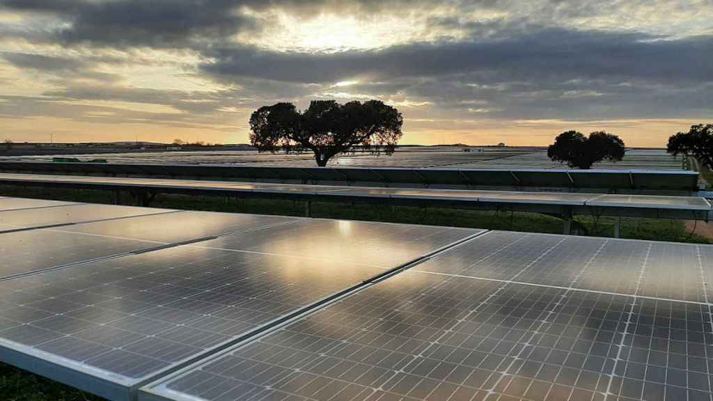 Paneles fotovoltaicos de Iberdrola.