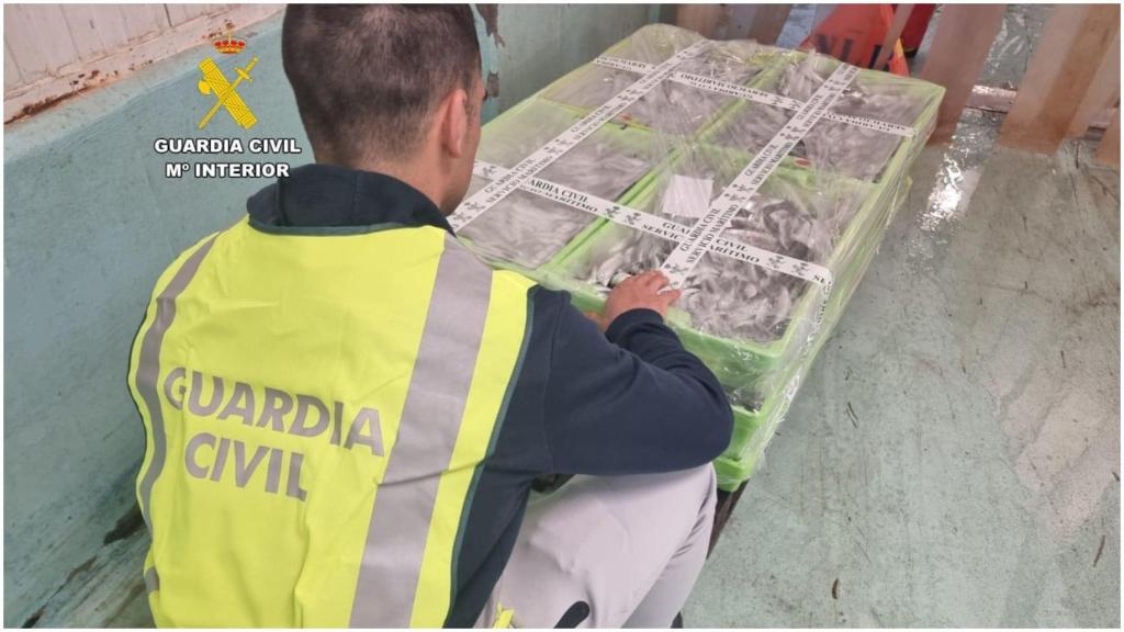 Incautación de sardina en Ribeira