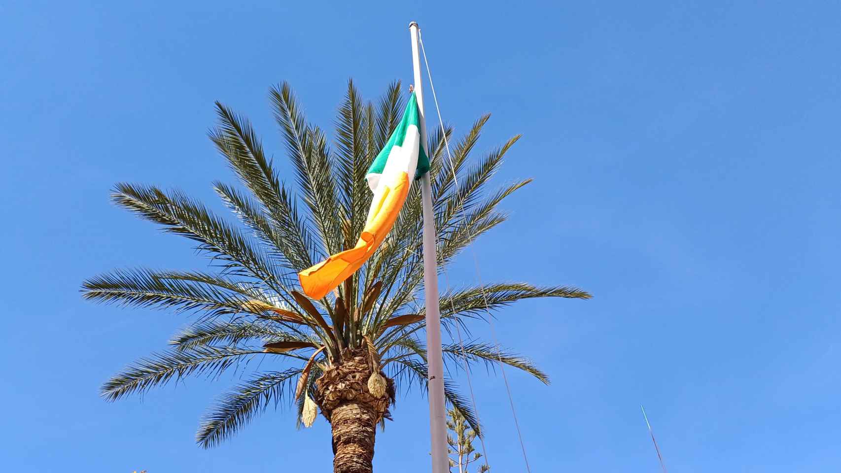 La bandera de Irlanda, izada en la Plaza de la Constitución.