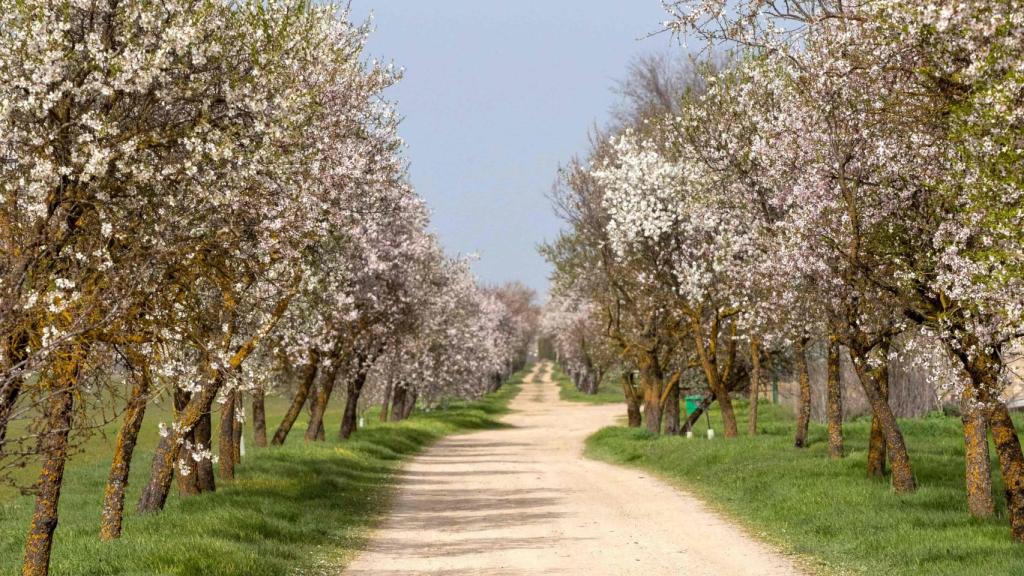 Los preciosos caminos del Centro de Interpretación de la Naturaleza de Matallana