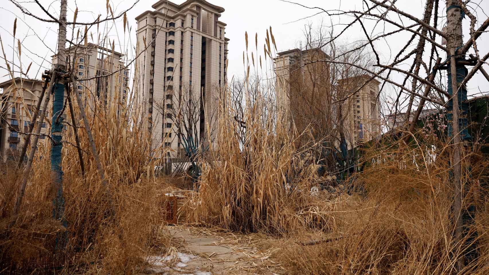 Promoción de pisos sin terminar de construir de Evergrande en la ciudad china de Shijiazhuang.