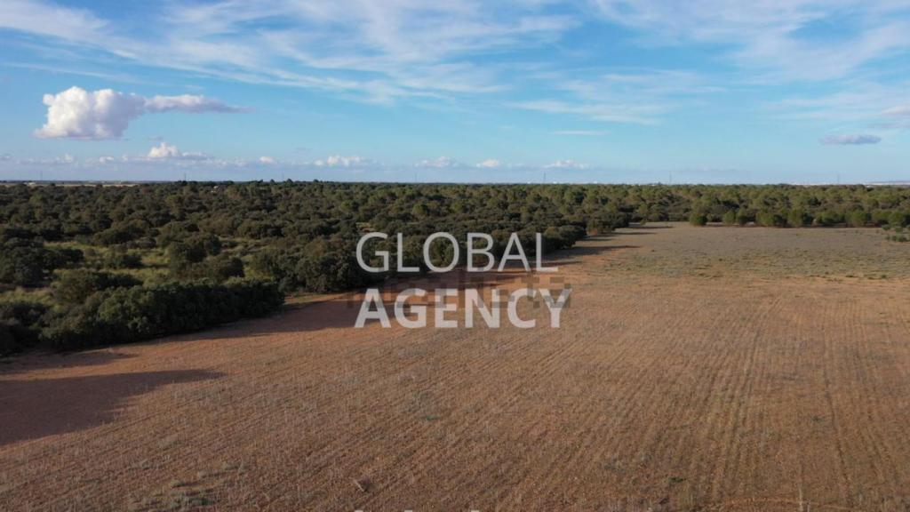 Finca en venta. Foto: Idealista / Global Agency.