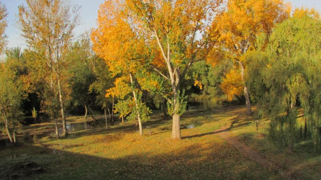 Zonas verdes municipales en la ciudad de Salamanca