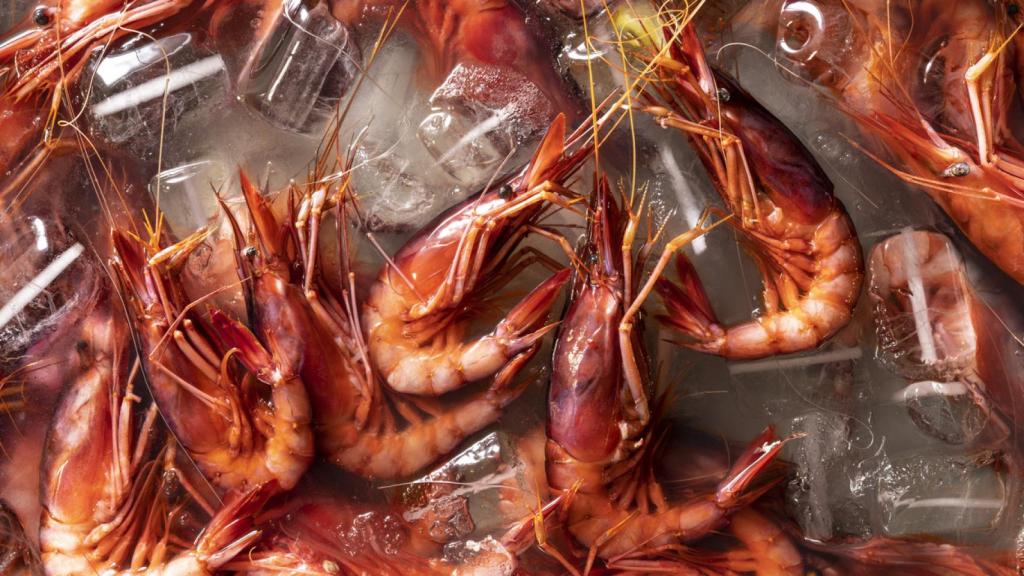 Un chef de Valladolid y otro de Madrid, entre los mejores que cocinan la Gamba Roja de Dénia