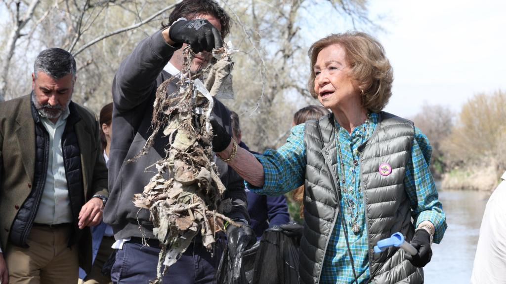 La reina Sofía, durante la campaña.