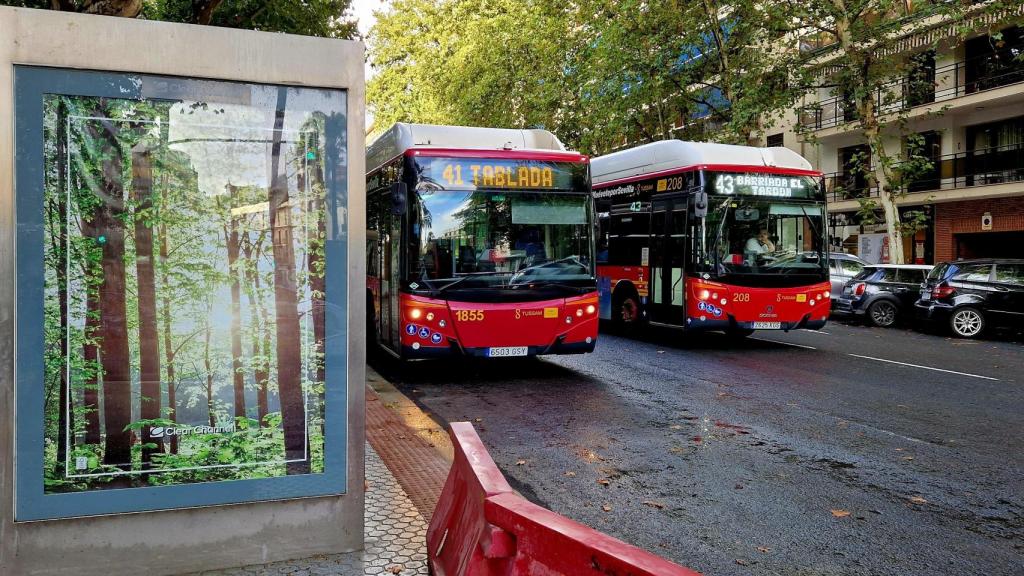 Dos autobuses de Tussam, en una imagen de archivo.