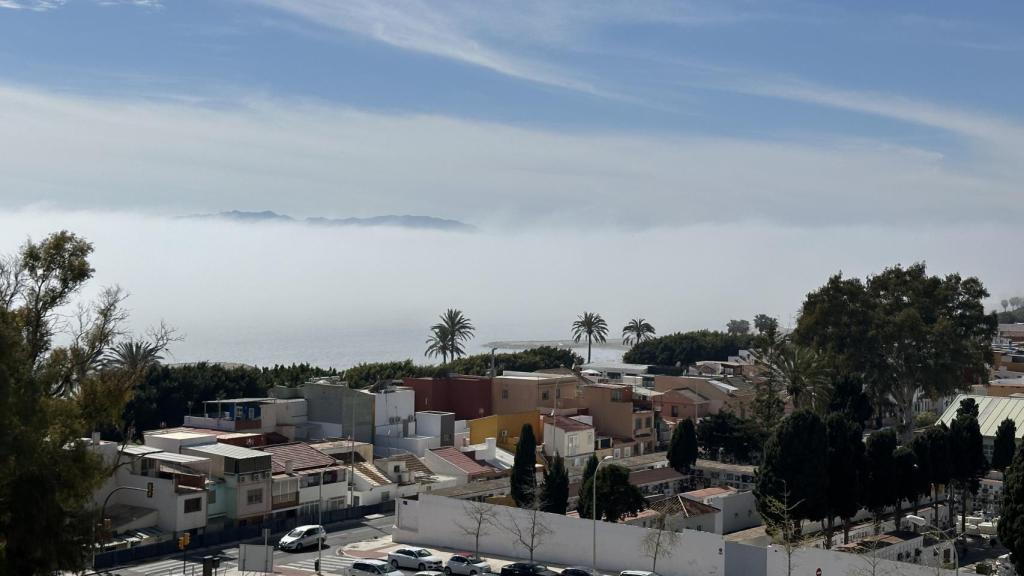 El taró se deja ver por Málaga capital en el último fin de semana de invierno.