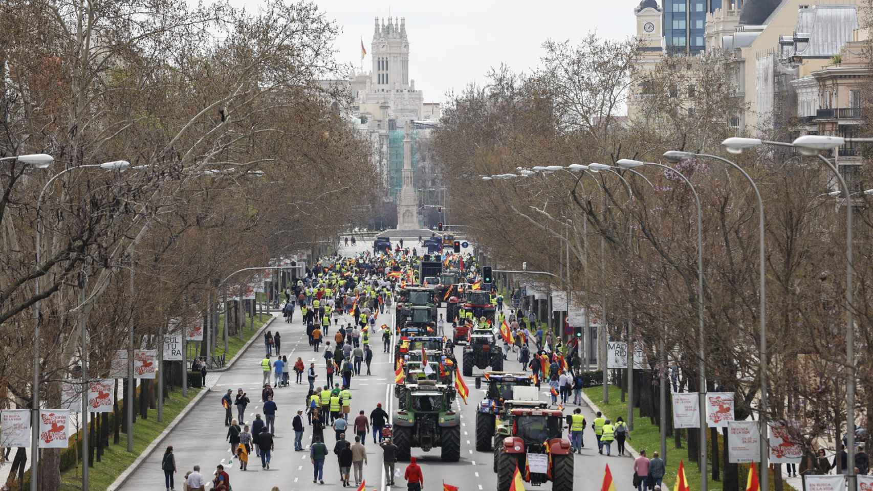 Agricultores y ganaderos participan en una tractorada de protesta en Madrid