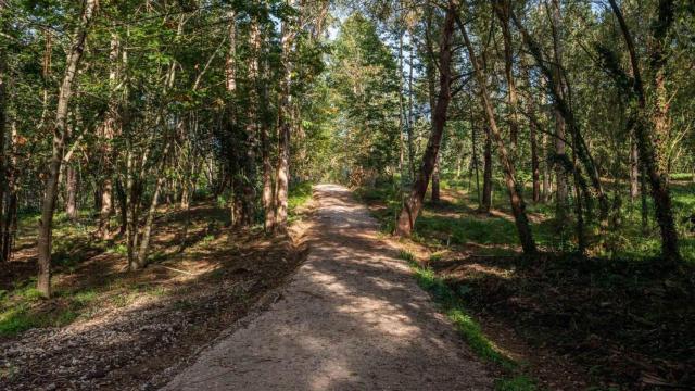 El sendero que recorre el Bosque de Xaz