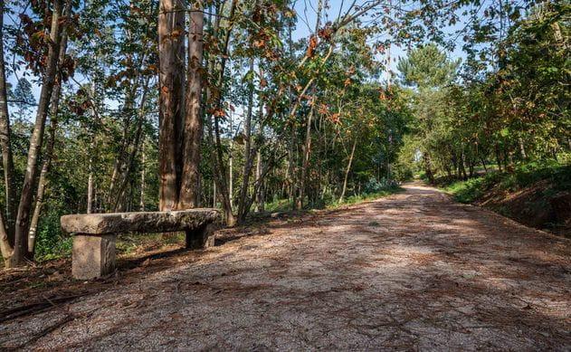 Foto del sendero del Bosque de Xaz (turismo de Oleiros)