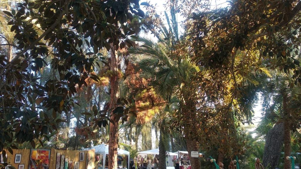 Jardines de Abril Alicante