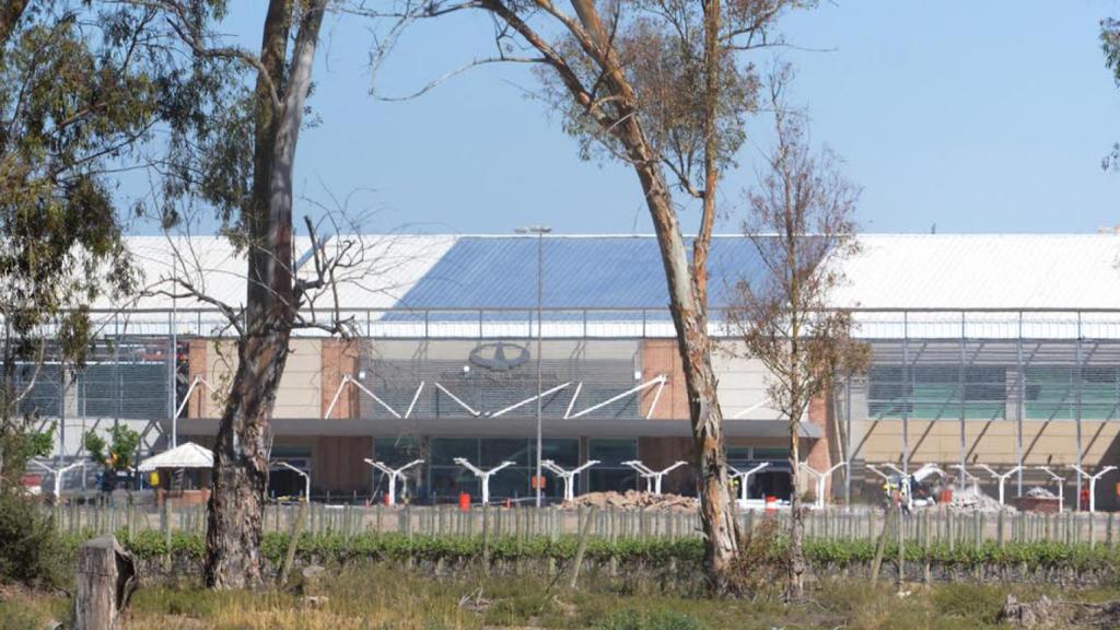 El único aeropuerto del mundo que cultiva su propio viñedo y produce su vino Malbec llamado Destino