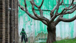 Banksy sorprende a los vecinos de un barrio de Londres con su nueva obra, un mural de un árbol