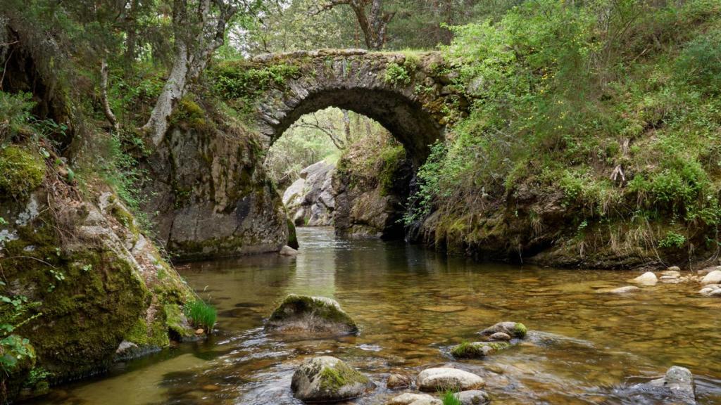 El pintoresco pueblo de Madrid que debes visitar en Semana Santa con un bosque de película.