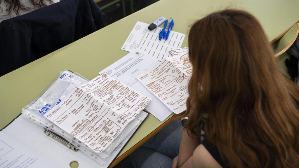 Una estudiante repasa sus apuntes.