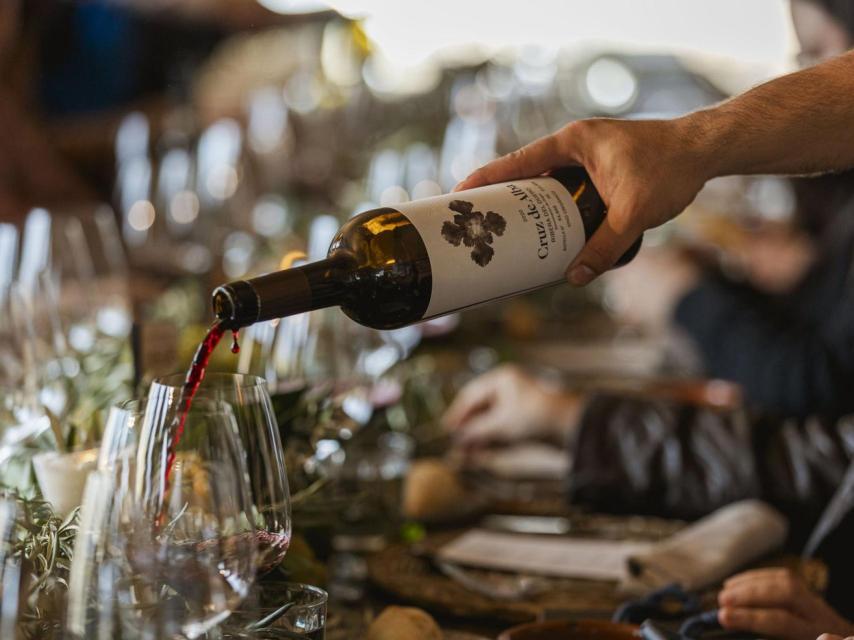 Cata de Cruz de Alba