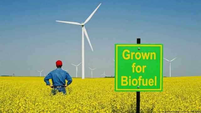 Biocombustibles.