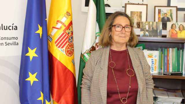 Regina Serrano posa en su despacho de la delegación de Salud en Sevilla