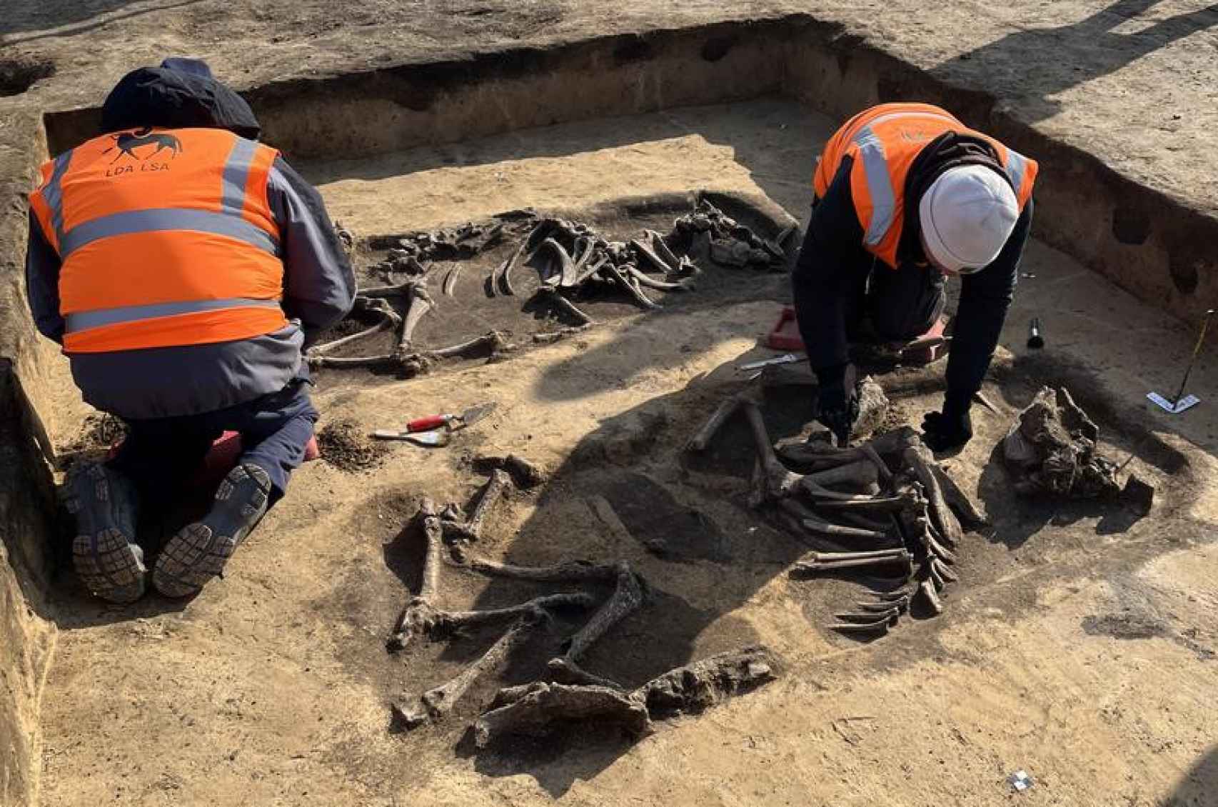 Excavación en Magdeburgo