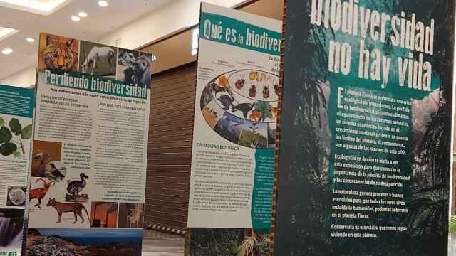 Exposición Sin biodiversidad no hay vida en Vallsur