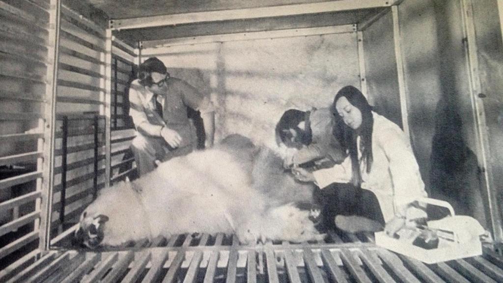 James Raffan, junto al oso Huxley.