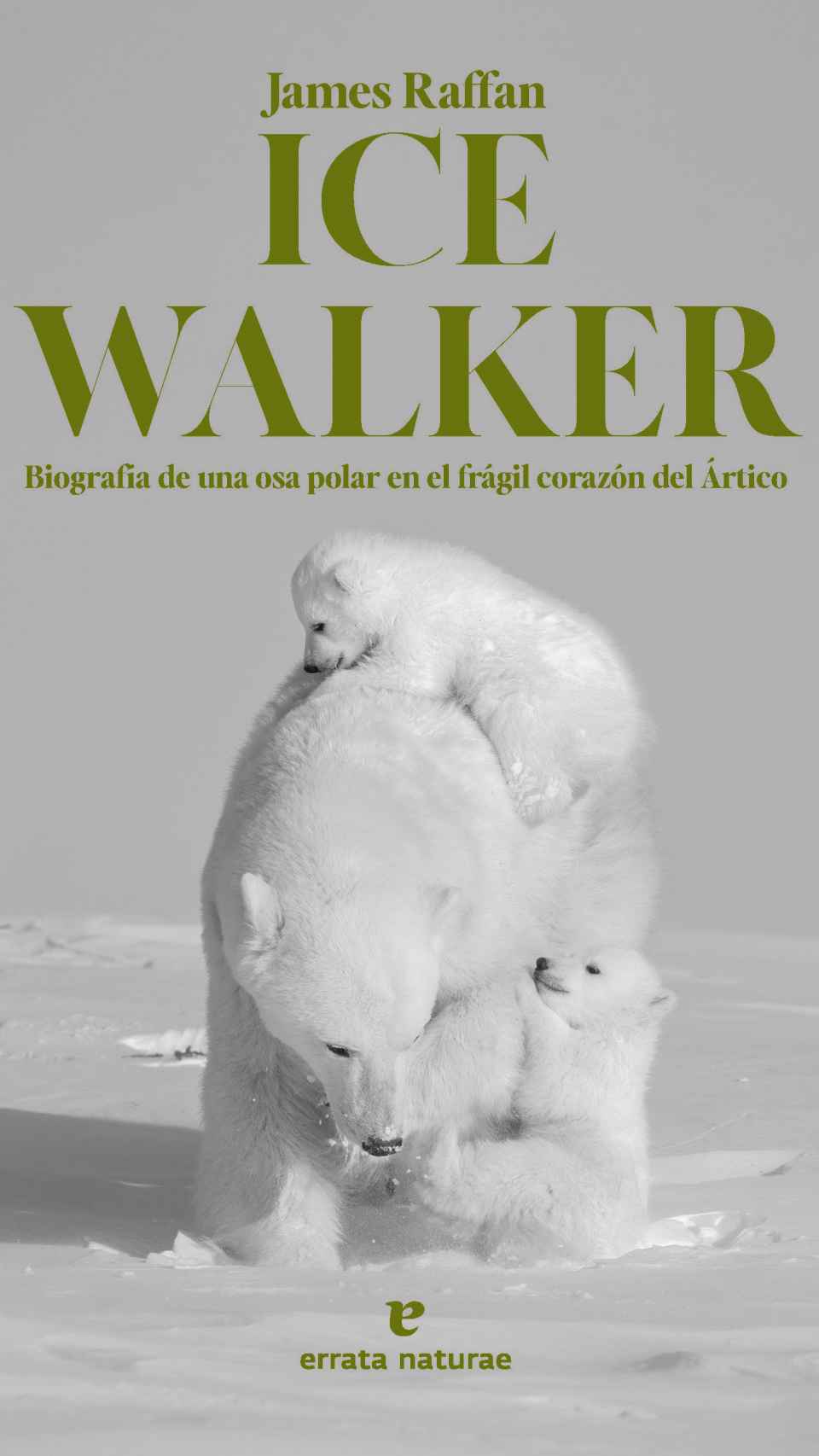 Portada de 'Ice Walker: biografía de una osa polar en el frágil corazón Ártico' ('Errata Naturae', 2024)
