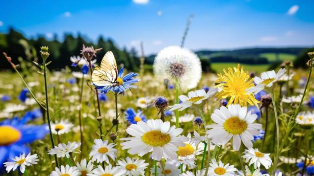 La primavera llega a Galicia: Durará 92 días y terminará el 20 de junio con el inicio del verano