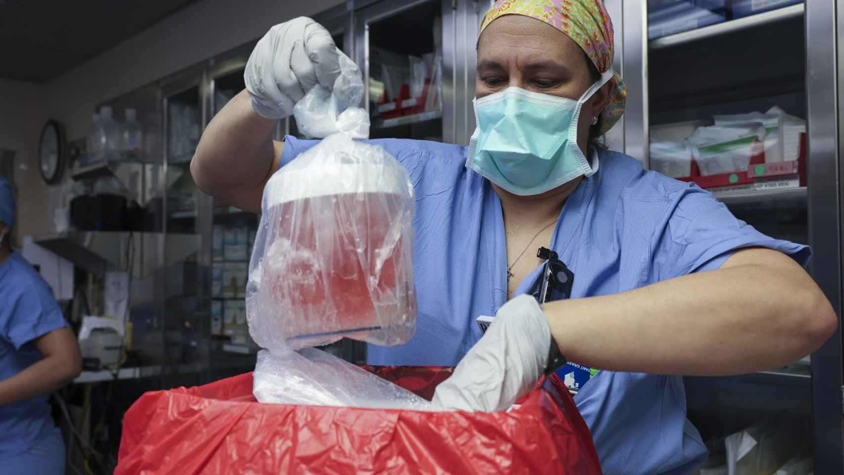 Una enfermera manipulando el riñón durante la intervención.