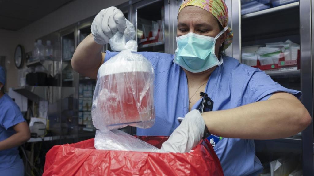 Una enfermera manipulando el riñón durante la intervención.
