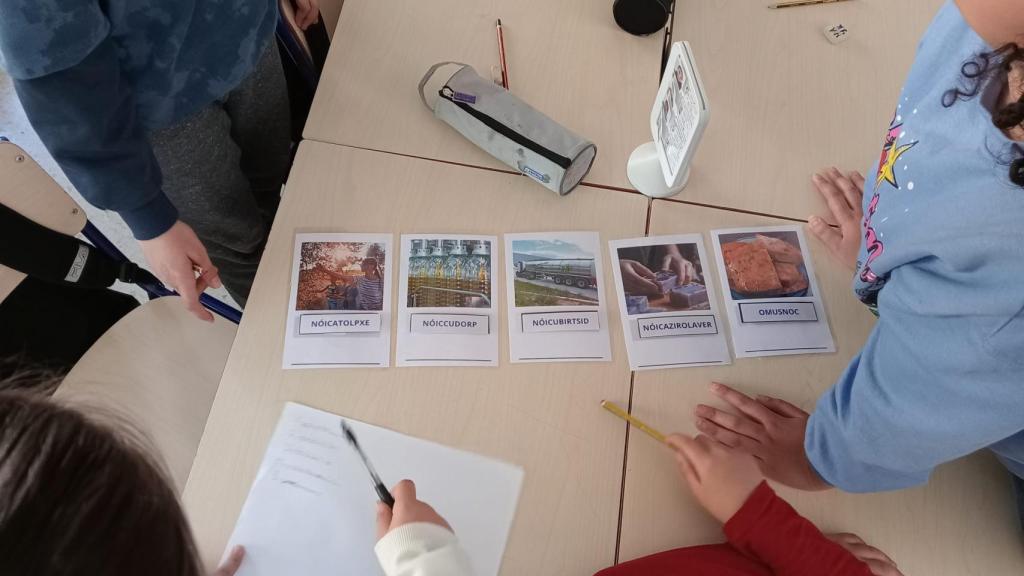 Más de 7.000 alumnos de Infantil a Secundaria se forman en educación ambiental con 'Alicante Educa'