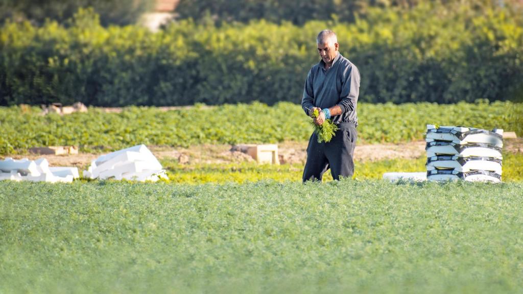 Un agricultor, en una imagen de archivo.